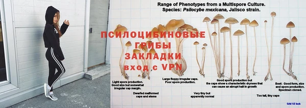 спайс Лихославль