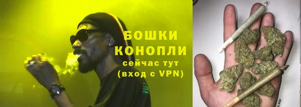 эйфоретик Магас