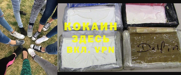 крисы Покров