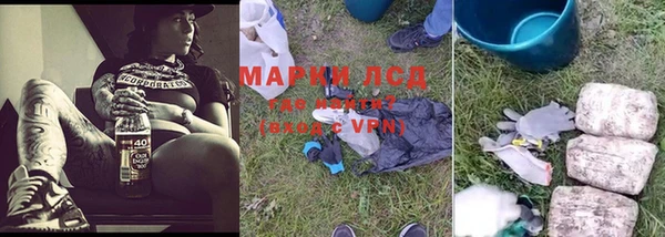 герыч Майский