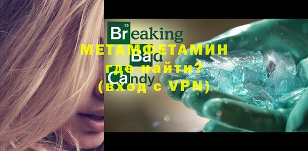 прущие грибы Верхний Тагил