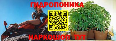 гидропоника Гусев