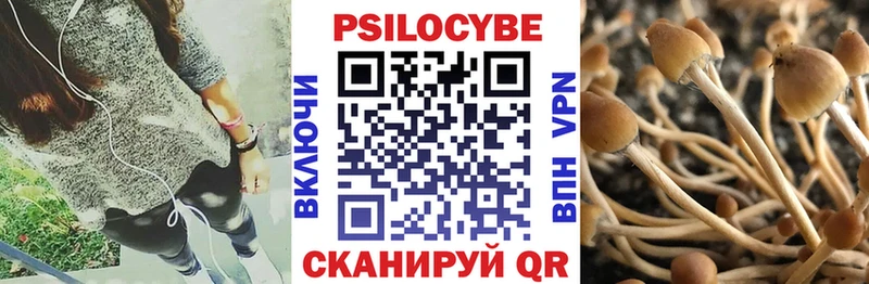 Псилоцибиновые грибы мухоморы  Нижнекамск 