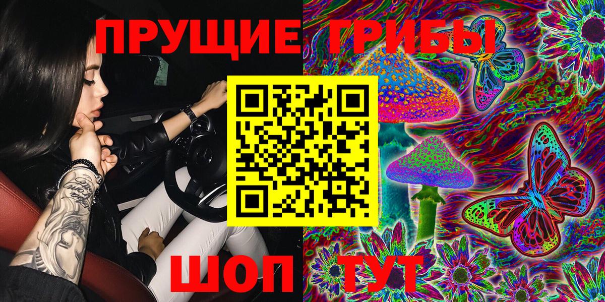 Нижнекамск  Псилоцибиновые грибы GOLDEN TEACHER  Вход с VPN 