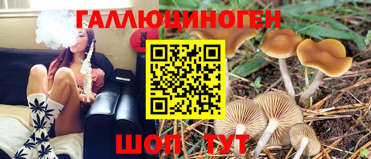 Псилоцибиновые грибы Psilocybe Нижнекамск
