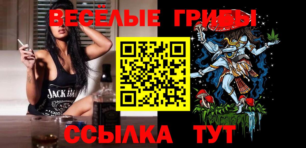 Галлюциногенные грибы Magic Shrooms Нижнекамск